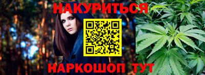 шишки Усть-Илимск